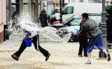 Lany poniedziałek w Piotrkowie. Policja ostrzega - mandat nawet 500 zł