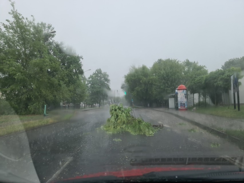 Burze przechodzą na Kujawsko-Pomorskiem. W Toruniu powalone...