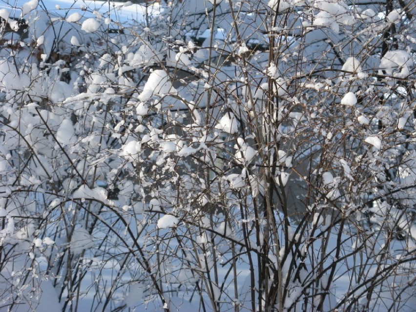 Zima w Kartuzach 25.03.2009