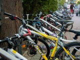 Rowerzyści, Warszawa. Coraz więcej warszawiaków korzysta z rowerów. W tym miesiącu rekordzistami są uczniowie