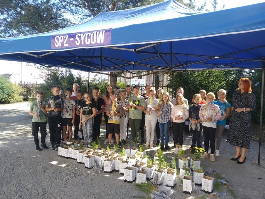 Uczniowie SP2 w Sycowie zaangażowali się w ogólnopolską akcję "SadziMY". Brawo!