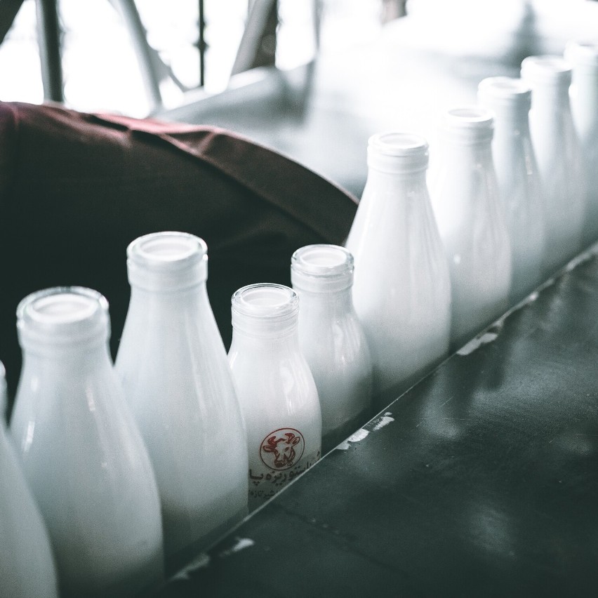 Przetwory mleczne bez laktozy to produkty, w których ilość...
