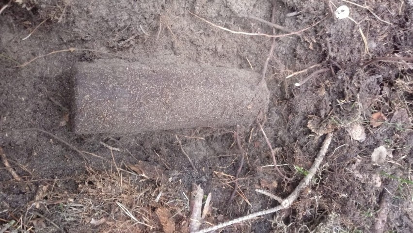 Pocisk artyleryjski „Szrapnel” i amunicja ”Mosin” znalezione w lesie w Prusicku w pow. pajęczańskim