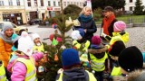 Z bloga MM: Akcja "Choinka nadziei" na bydgoskim Starym Rynku [ wideo, zdjęcia] 