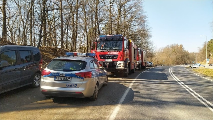 Strażacy i policjanci interweniowali w Skamieniałym Mieście....
