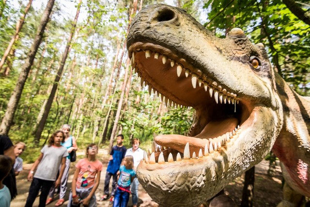 Na terenie Zaginionego Świata w Myślęcinku w pierwszą niedzielę sierpnia czekać będą nie tylko dinozaury, ale też wiele innych atrakcji i aktywności