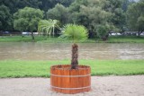 Plaża w Sanoku odbudowana. Palma znów przyciąga wzrok