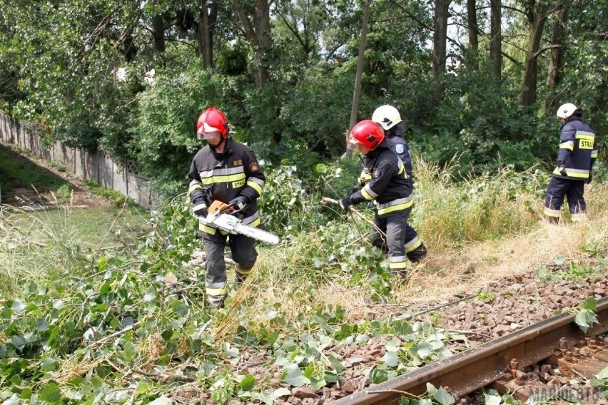 Burze w Opolskim. Blisko 50 interwencji strażaków. Wichura przewróciła drzewa na tory w Lewinie Brzeskim