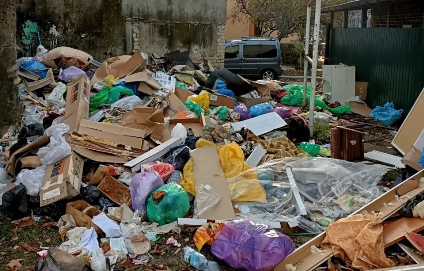 Na ulicy Bukowej w Kielcach mnóstwo śmieci znajduje się nie...