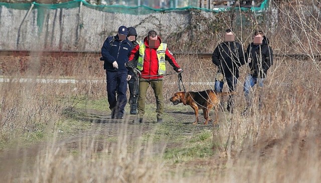 Do poszukiwań potrąconego mężczyzny w gminie Dragacz zaangażowano nawet psa tropiącego. Zgubił on trop między zabudowaniami w Grupie