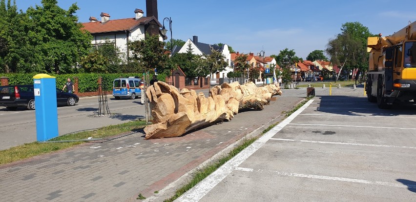 Hel bije rekord Guinnessa. W mieście na Początku Polski stanie rzeźba