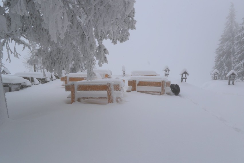 Beskid Żywiecki, schronisko PTTK Rysianka