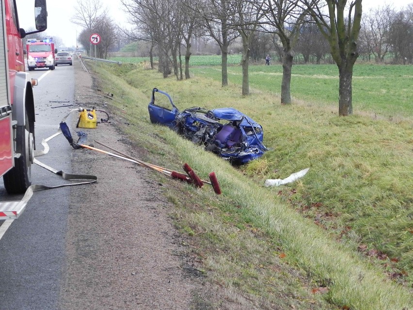 Śmiertelny wypadek na drodze krajowej nr 7 w okolicy Nowego Dworu Gdańskiego (zdjęcia)