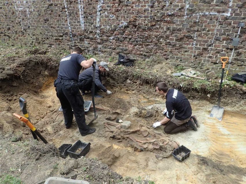 Ekshumacja w Głogowie. Znaleźli szczątki z czasów wojny [ZDJĘCIA]