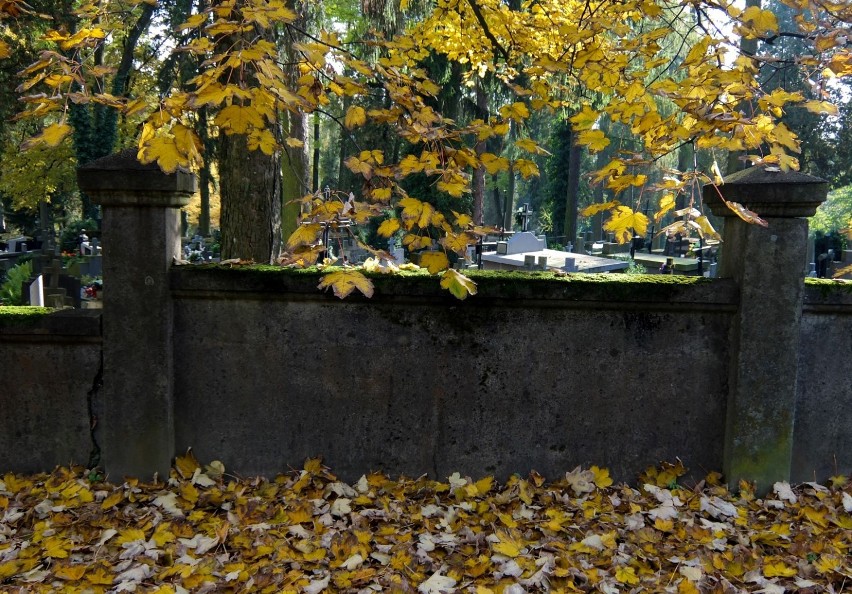 Zobaczcie na naszych zdjęciach złotą jesień w Przemyślu.