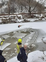 Policjant z jasielszczyzny i druhowie OSP z Biecza uratowali tonącego psa