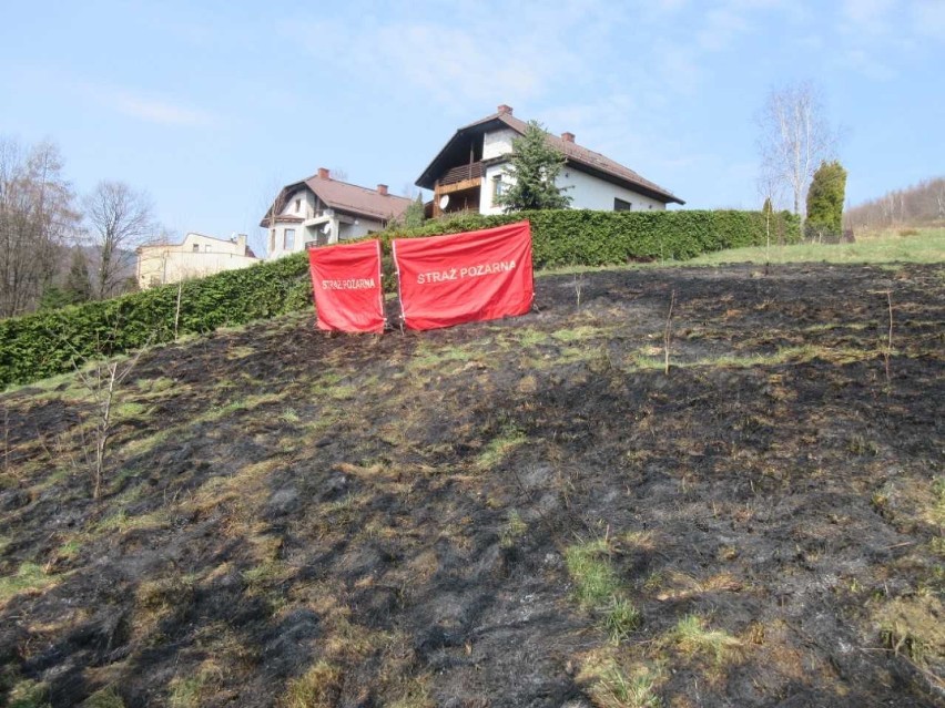 Tragedia podczas wypalania traw w Międzybrodziu Bialskim. Strażacy znaleźli ciało kobiety