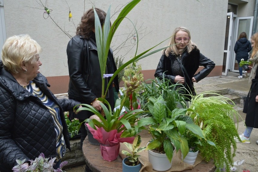 Uczestnicy mogli przyjść ze swoją i wziąć inną roślinę