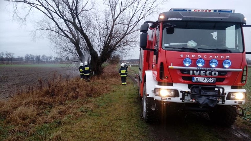 Oleśnica: Ochotnicy interweniowali przy palącym się drzewie (ZDJĘCIA) 