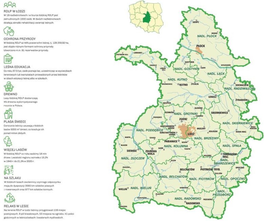 Konkurs Dziennika Łódzkiego "Pomóżmy sprzątać lasy, poznajmy ich przyrodę”