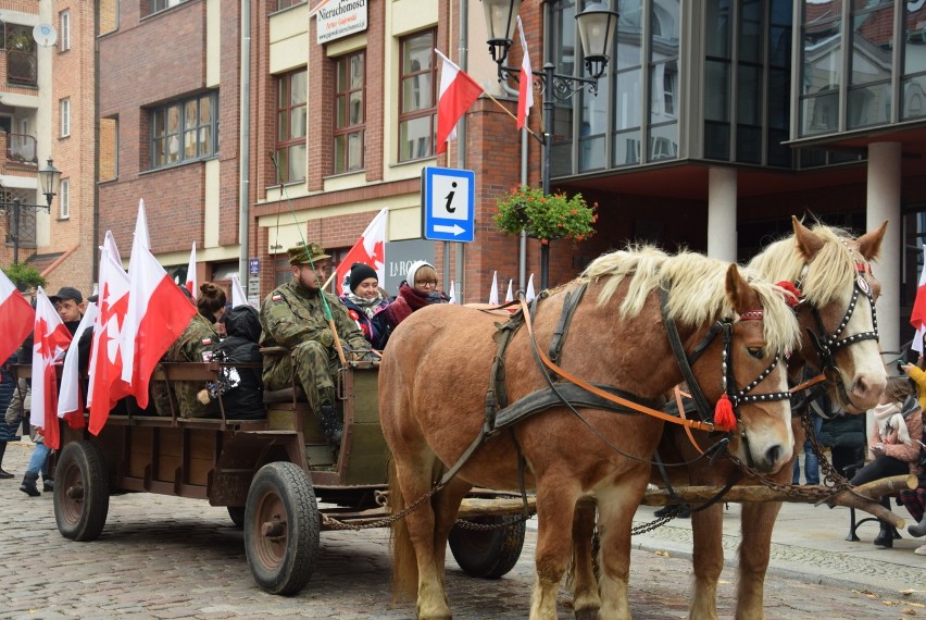 Ulicami Elbląga przeszedł biało-czerwony marsz