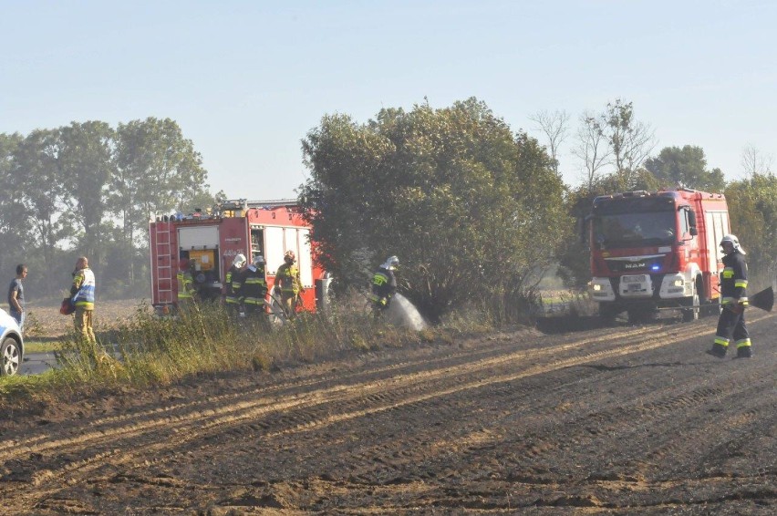 Kolejne pożary na polach. Dziś paliło się m.in. w Olszewie