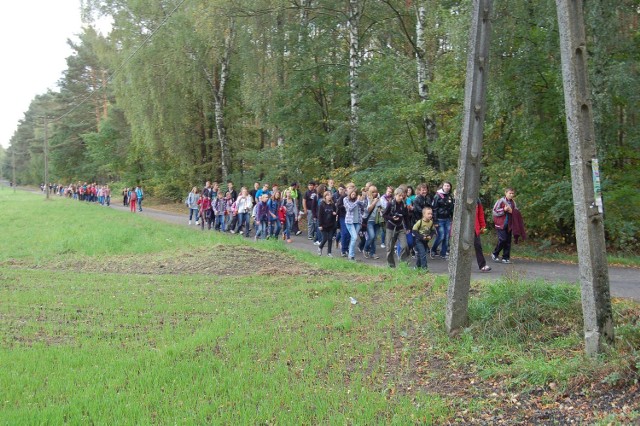 Rajd " Żółty jesienny liść" odbędzie się szlakiem gminy Góra św. Małgorzaty