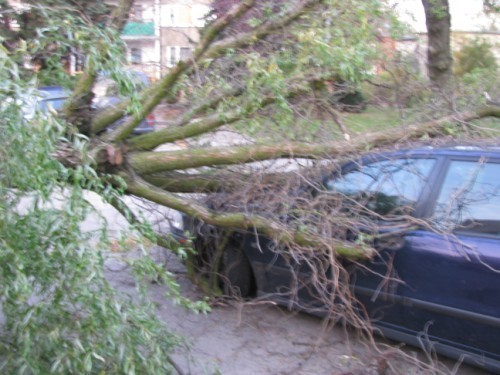 Drzewo spadło na samochód na ul. Bąka