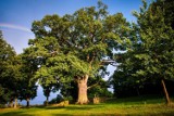 Lubelskie. Przegląd wydarzeń tygodnia