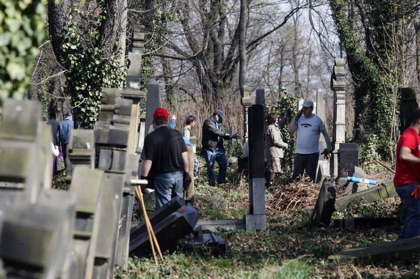 Sprzątają cmentarz żydowski w Legnicy [ZDJĘCIA]