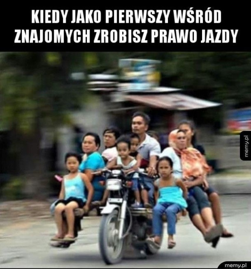 Prawo jazdy w krzywym zwierciadle. Zobacz najlepsze MEMY!