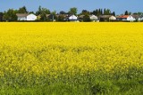 Oto 20 największych wsi w powiecie inowrocławskim pod względem liczby mieszkańców