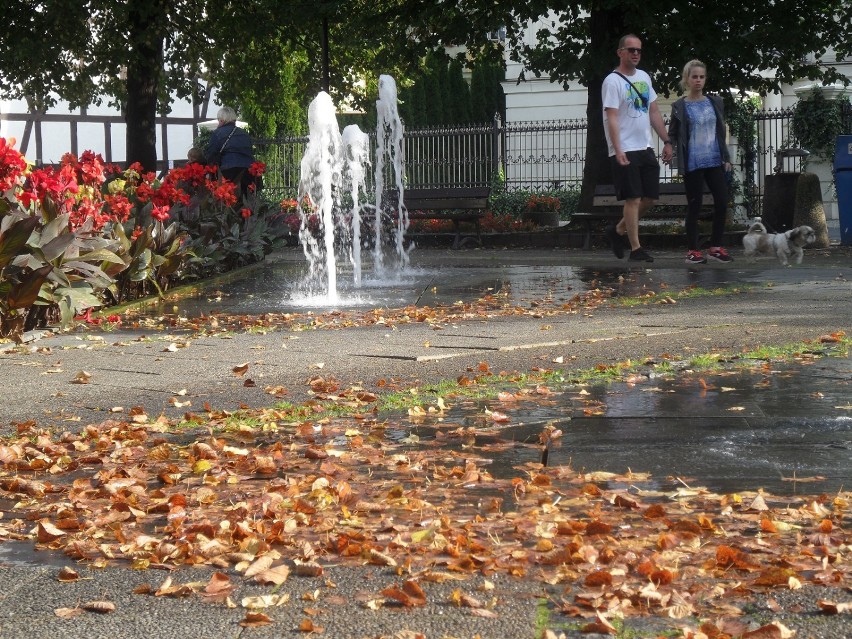 Jesień rozpoczęła się już na dobre. Na szczęście pierwsze...