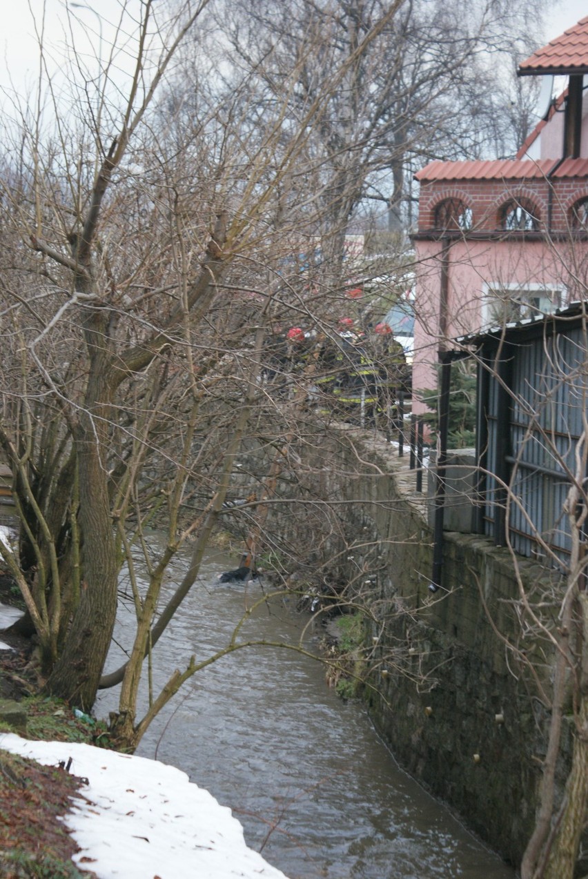 śmierć w rzece