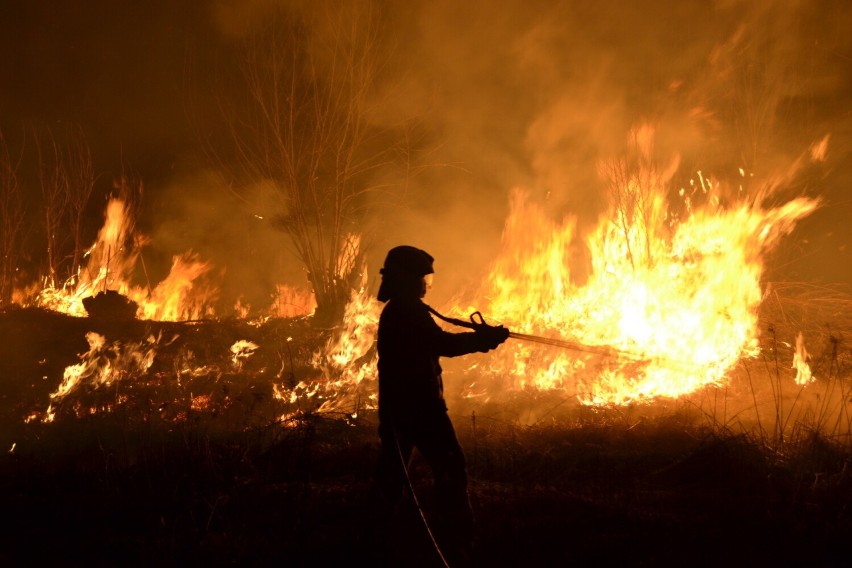 Palił się brzeg Ropy na Blichu w Gorlicach. Płomienie miały nawet metr wysokości, a w pobliżu są ogródki działkowe