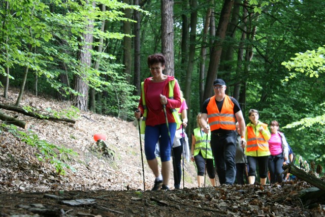 Łagowski marsz nordic walking w sobotę (1 lipca)