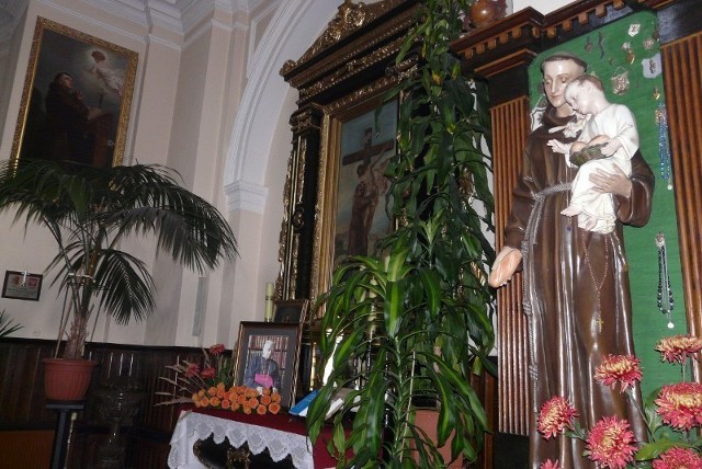 Figura świętego stoi w kościele pw. św. Antoniego w centrum Tomaszowa, tuż obok stoi portret śp. ks. Stanisława Grada, sprzymierzeńca tej idei