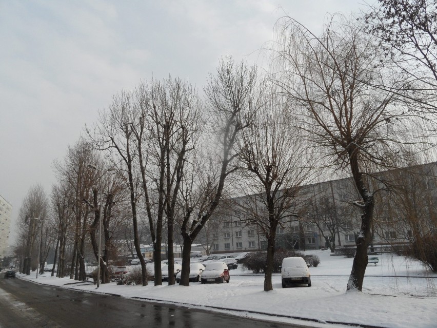 Zima Żory: Zdjęcia aut tonących w śniegu FOTO