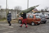 Przedświąteczny ruch na miejskim targu w Skierniewicach