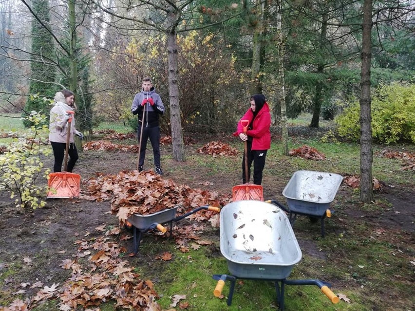 Wolsztyn: wolontariusze z liceum porządkowali park wokół Domu Pomocy Społecznej w Wielkiej Wsi