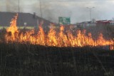 Pożar zboża i słomy na polu w Grabówcu w powiecie brodnickim