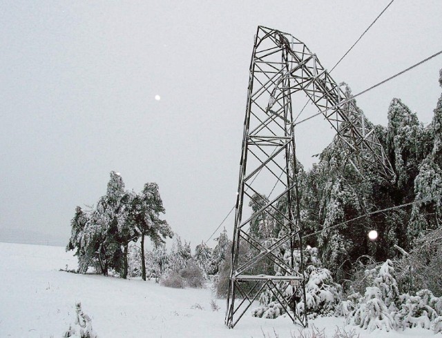 Zimą 2010 roku część województwa śląskiego pokryła szadź. Pod grubą warstwą lodu łamały się drzewa i słupy energetyczne. Nie było prądu i wody. Ogłoszono stan klęski żywiołowej



Zobacz kolejne zdjęcia. Przesuwaj zdjęcia w prawo - naciśnij strzałkę lub przycisk NASTĘPNE
