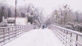 Inowrocław. Park Solankowy w śnieżnej scenerii. Zdjęcia