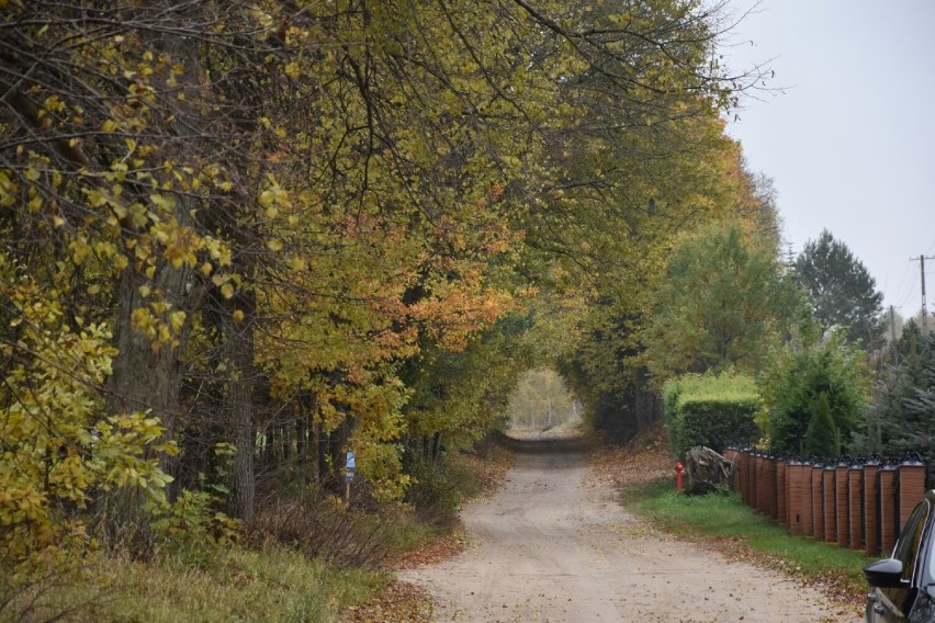 Jesienny spacer w Lipach w gm. Stara Kiszewa. Malownicza miejscowość zaprasza [ZDJĘCIA]