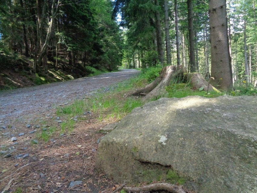 Wycieczka z Kalisza. Wyprawa na Śnieżkę, królową Karkonoszy