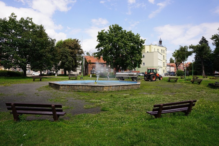 W części Parku Kopernika w Tczewie ma powstać lapidarium