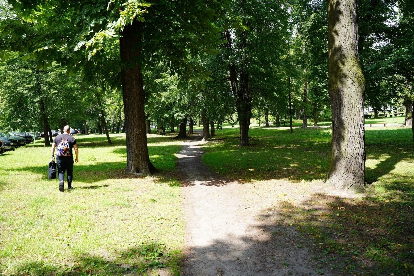 Miasto chce pozyskać na rewitalizację parku unijną dotację