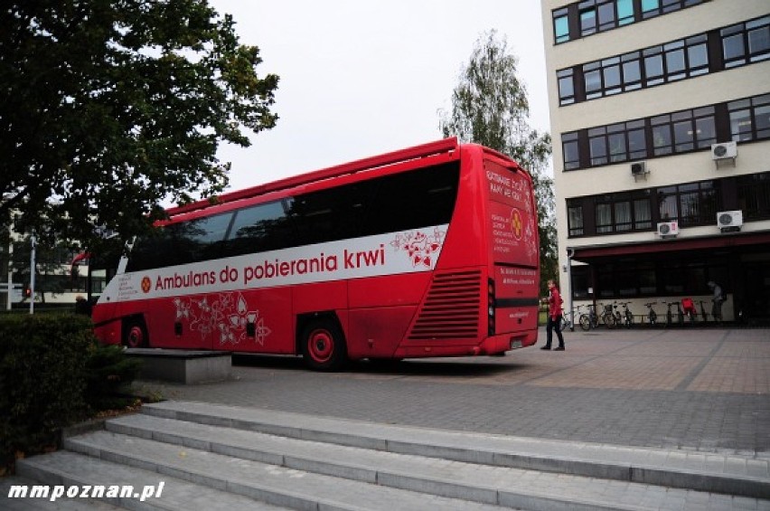 - Nic nie bolało, za to teraz rozpiera mnie duma, że...