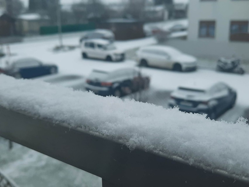 Sypnęło śniegiem w Lubuskiem. Uwaga kierowcy! Może być ślisko. Synoptycy prognozują dalsze opady
