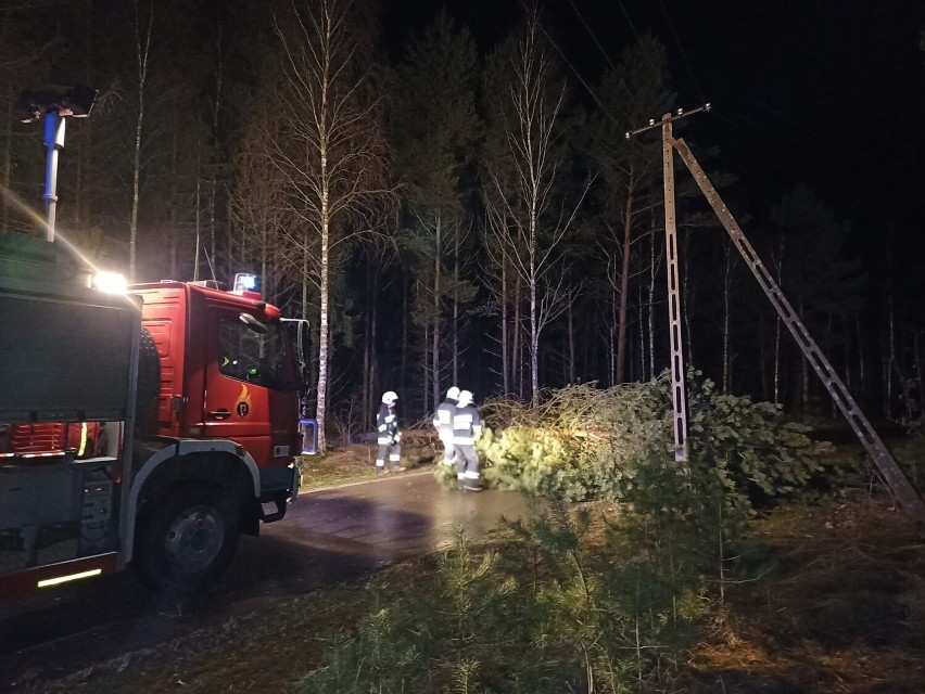 Orkan Otto przeszedł przez powiat wejherowski. Niemal 300 interwencji strażaków | ZDJĘCIA, AKTUALIZACJA